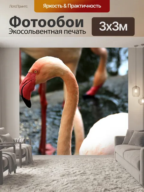 Фотообои Фламинго