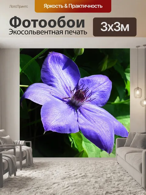 Фотообои Цветок
