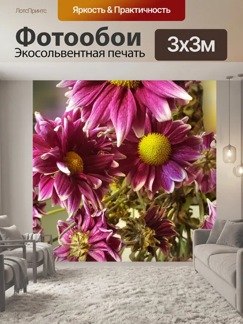 Фотообои Фиолетовые Dasies