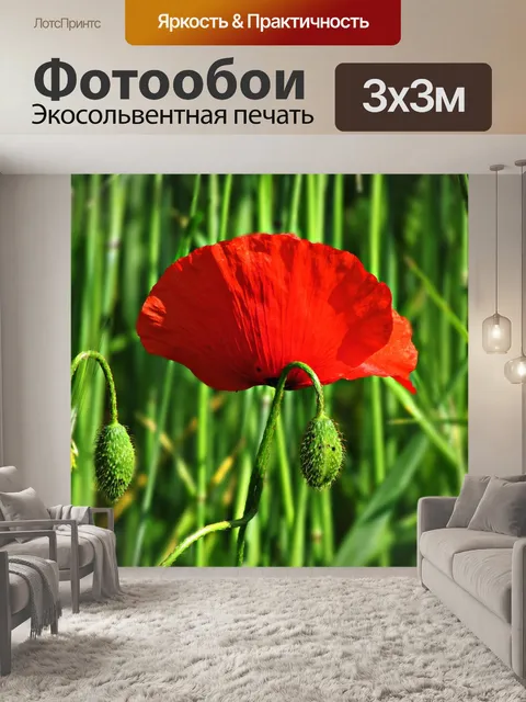 Фотообои Цветок