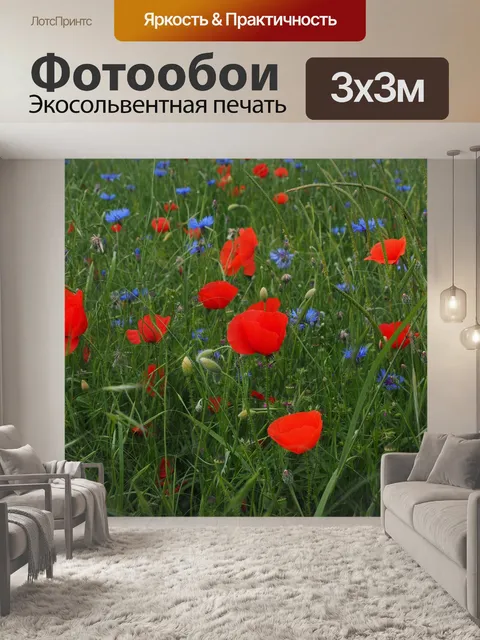 Фотообои Маковое поле