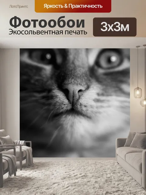 Фотообои Кот