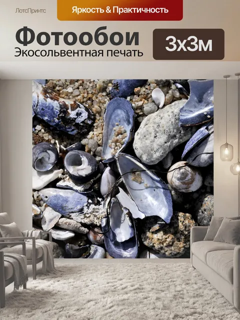 Фотообои ассорти морских раковин