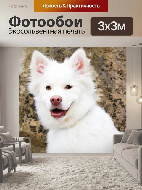 Фотообои Собака