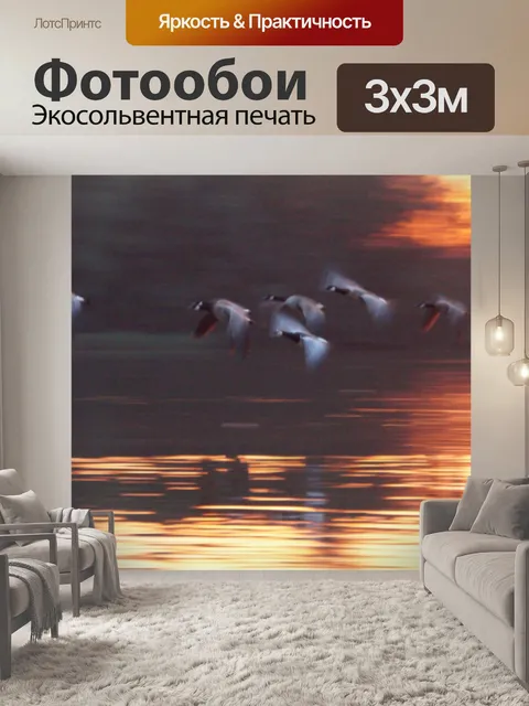 Фотообои Канадские гуси гуси летать птицы