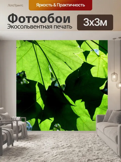 Фотообои Зеленый