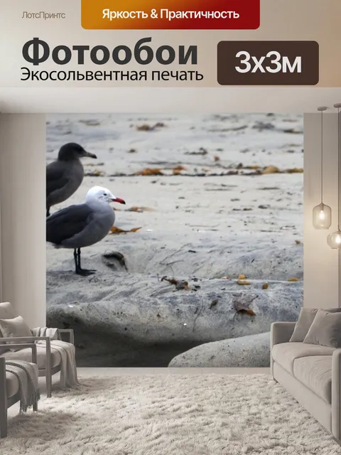 Фотообои Веб-баннер Чайки