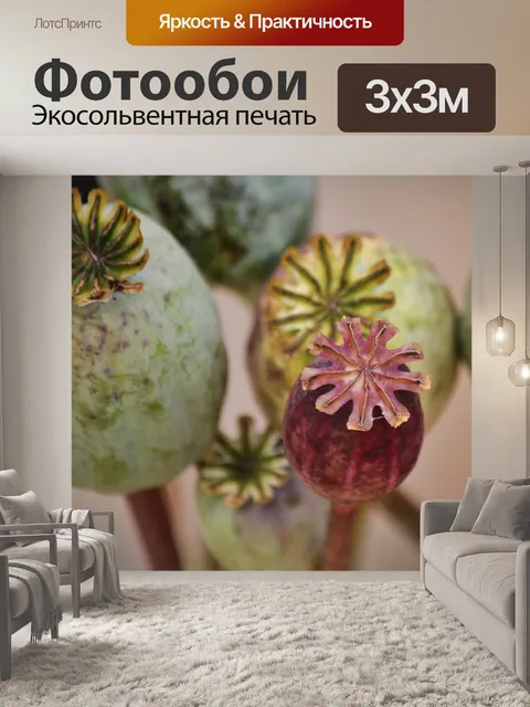 Фотообои Мак