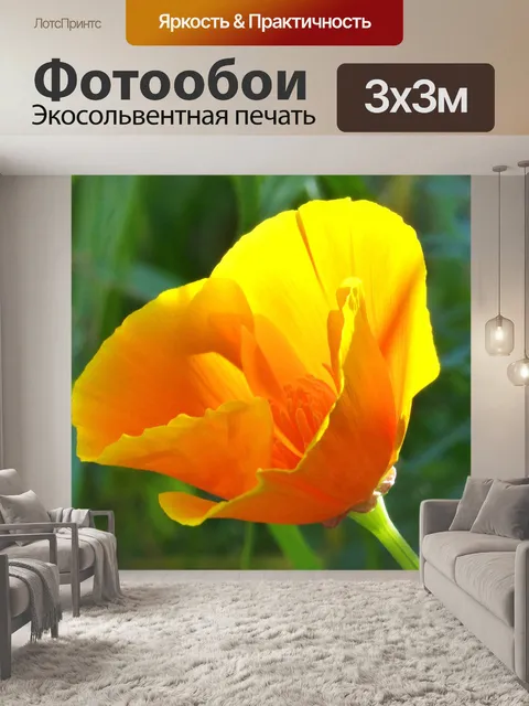 Фотообои Калифорнийский мак