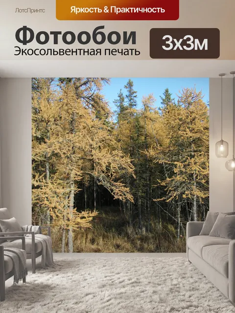 Фотообои Золотое дерево Тамарака