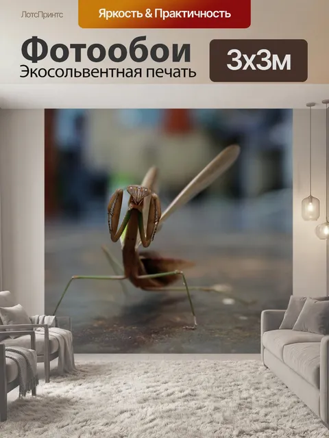 Фотообои Богомол