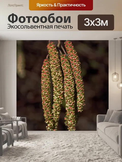 Фотообои Котята