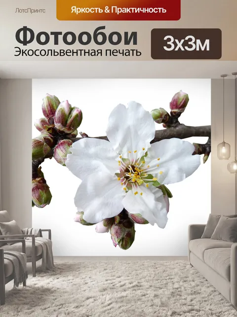 Фотообои Бутоны