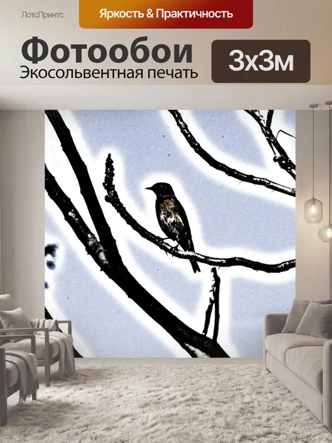 Фотообои Силуэт птицы