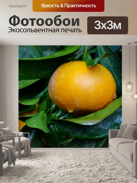 Фотообои Влажный мандарин и листья в саду