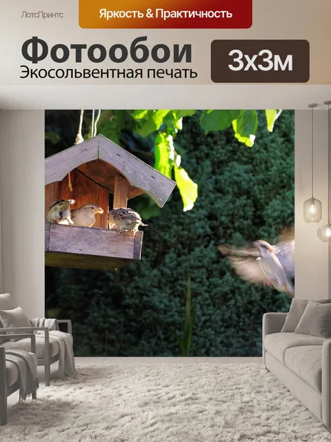 Фотообои Птица