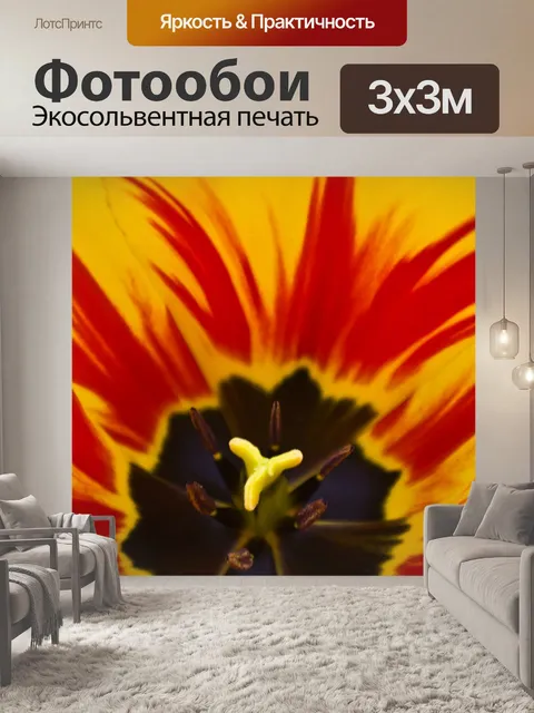Фотообои Желтый тюльпан