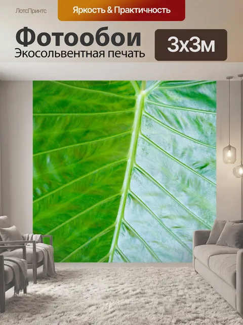 Фотообои Пальма