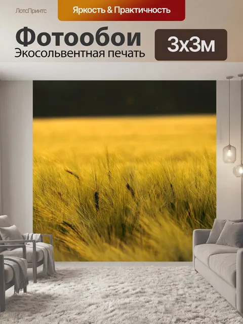 Фотообои Поле