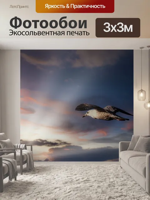 Фотообои Чайка