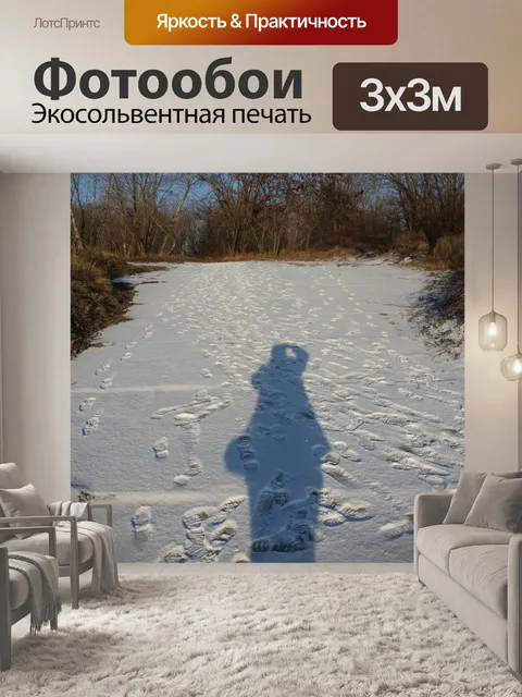 Фотообои Тень