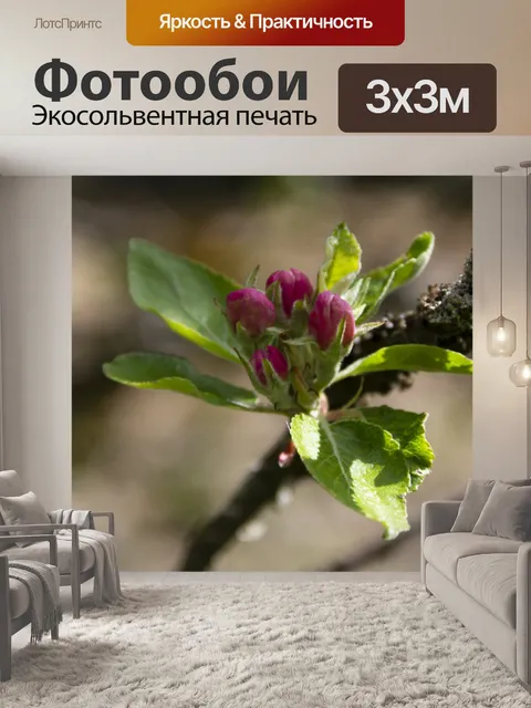 Фотообои Весна