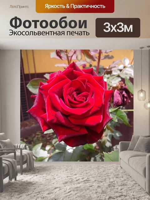 Фотообои Розы