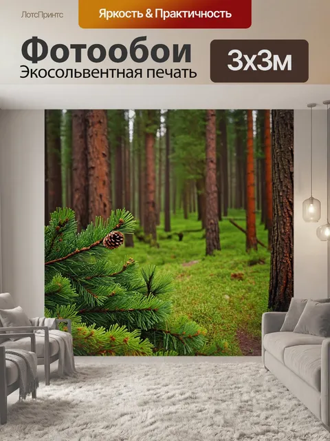 Фотообои россия леса — величественные кедровые леса