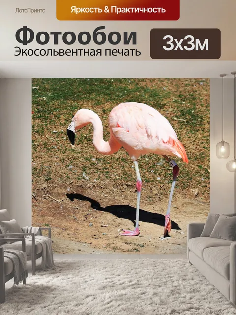 Фотообои Чилийский Фламинго Постоянный