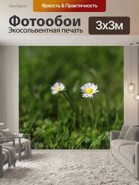 Фотообои Ромашки