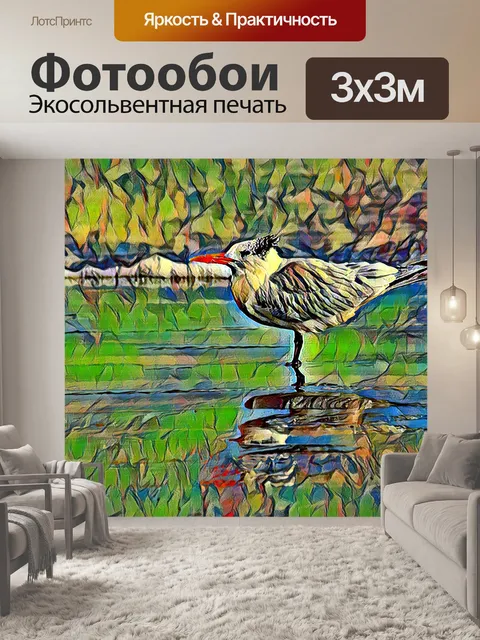 Фотообои иллюстрация птицы крачки