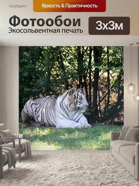 Фотообои Сибирский тигр
