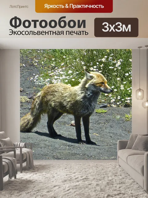 Фотообои Лиса