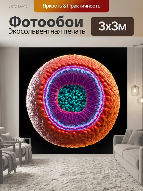 Фотообои визуализация клетки с видимой внутренней структурой
