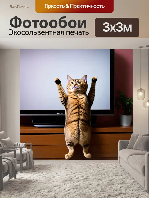 Фотообои прикол: кот, который пытается сделать стойку на задних лапах, но вместо этого сталкивается с плоским экраном…