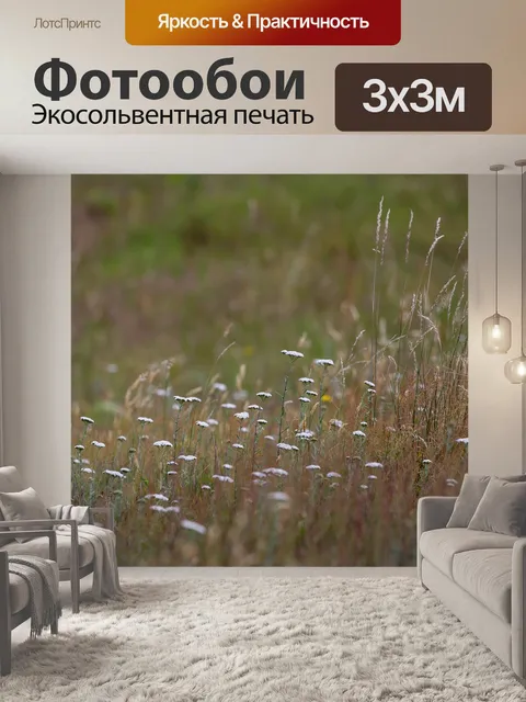 Фотообои Дамы кружева завод