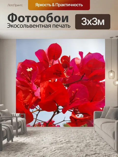 Фотообои Красивые красные цветы