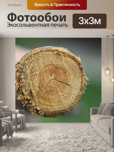 Фотообои Древесина