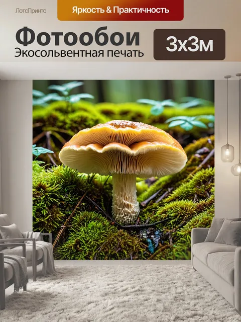 Фотообои грибы плесневые, хозяева во влажной следовой среде, среди травы и мха