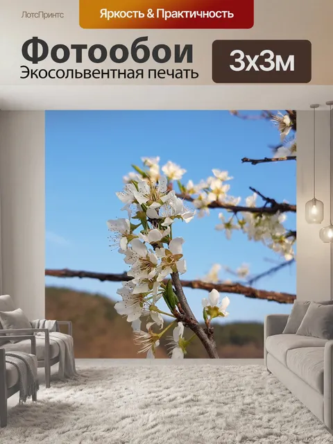 Фотообои Слива