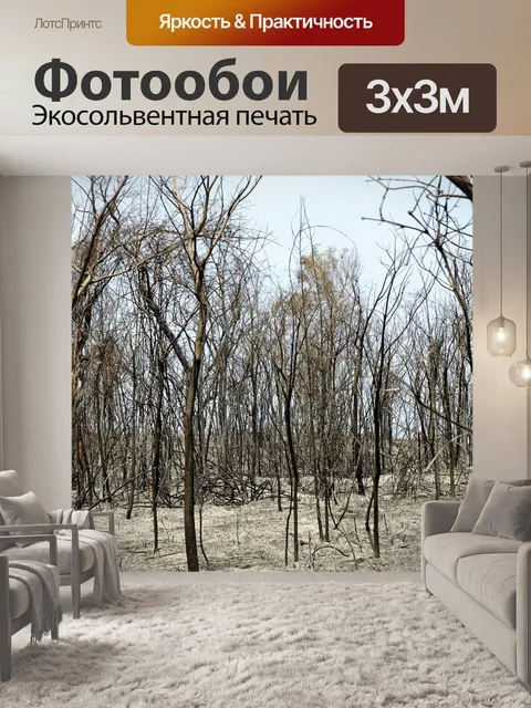 Фотообои Сгорел