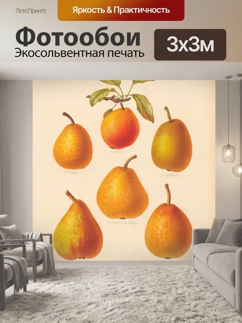 Фотообои Груши фрукты винтажные