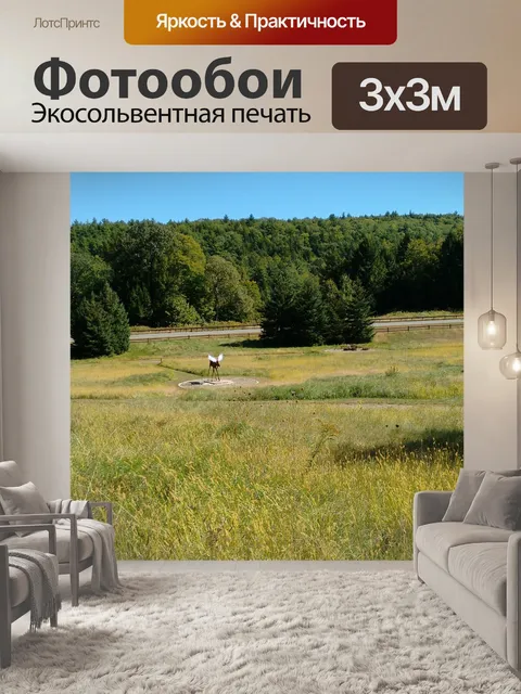 Фотообои Поле