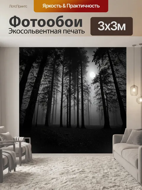 Фотообои ночь в стиле черно-белый