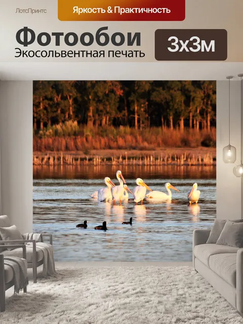 Фотообои Пеликаны осенью