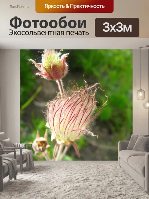 Фотообои Индийская кисть