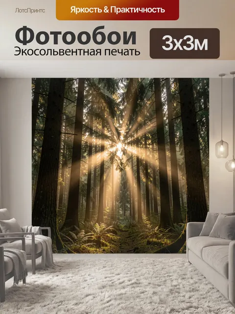 Фотообои Солнечные лучи в хвойном лесу