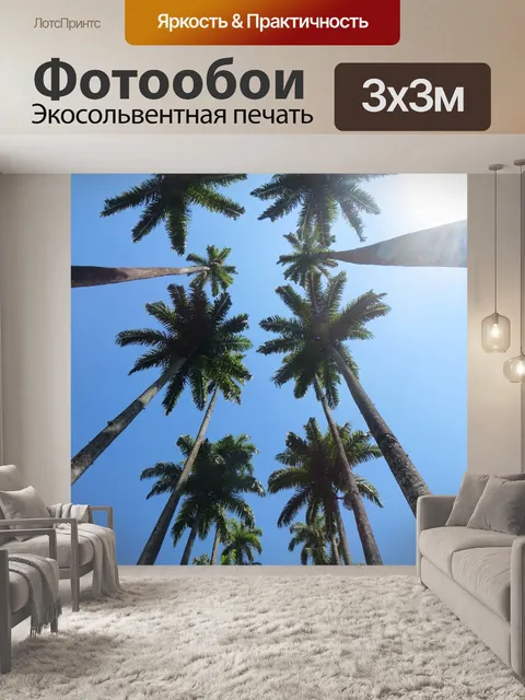 Фотообои Пальмы