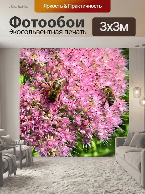 Фотообои Пчелы