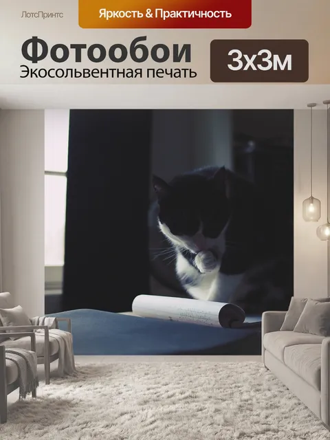 Фотообои Кошка